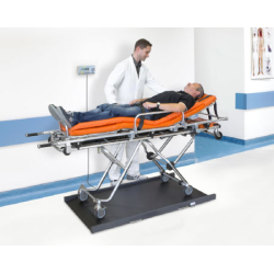 Kern MWS-L Stretcher Scale with Class III Approval