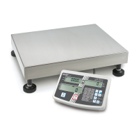 Kern IFS Industrial Weighing and Counting Platform Scales Kern and Sohn - 1