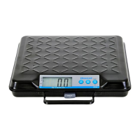 Brecknell GP100 USB Portable Bench Scales 45kg x 100g Brecknell - 4