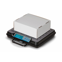 Brecknell GP250 USB Portable Bench Scales 110kg x 200g Brecknell - 6