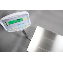 Adam GFK Floor Counting and Checkweighing Scales 75kg - 600kg Adam Equipment - 4