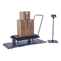 Brecknell PS1000 Platform Floor Scales 500kg x 0.2kg Brecknell - 8