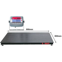 OHaus DF Floor Scale with Indicator
