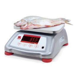 Ohaus Valor 2000 IPx8 Stainless Steel Catering Scales 1.5kg - 15kg Ohaus - 4