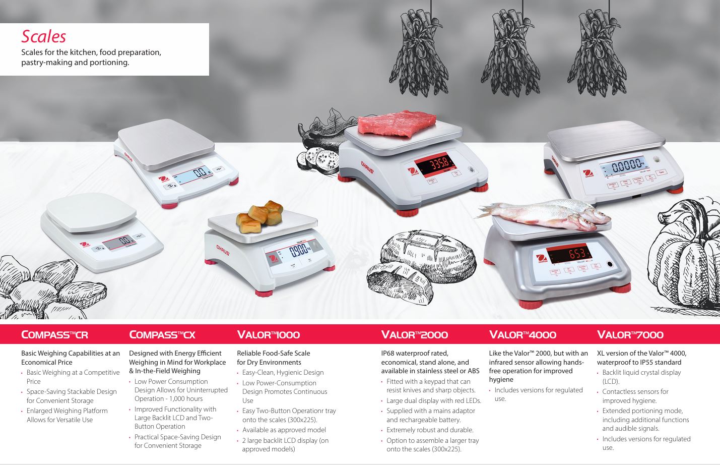 Ohaus Commercial Kitchen Catering Scales